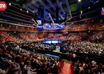 ufc-sweden-audience