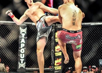 stefan-struve-stipe-miocic-mmanytt