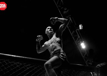 Emil Hertner MMAnytt