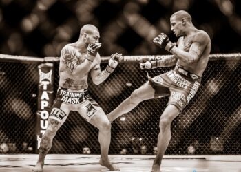 Cub Swanson Dustin Poirier UFC on Fuel 7 london Wembley arena mma fight mmanytt fightnight octagon studiomma cage 2013 11