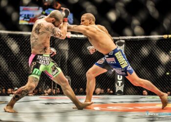 Cub Swanson Dustin Poirier UFC on Fuel 7 london Wembley arena mma fight mmanytt fightnight octagon studiomma cage 2013 12