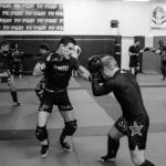 MMAnytt Damir Hadzovic Foto – Mattias Persson Bildspråk (5)