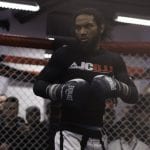 UFC Boston UFC Fight Night 59 MMAnytt.se_-11 benson henderson