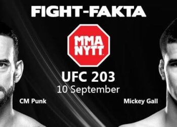fightfakta-ufc-203-punkvsgall