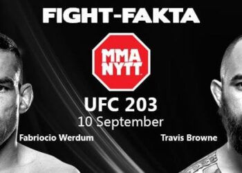 fightfakta-ufc-203-werdumvstravis-1