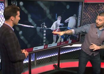 inside-the-octagon