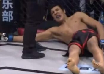 mma.vadapt.767.high.0
