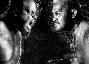 UFC Fight Night 110 Derrick Lewis vs Mark Hunt