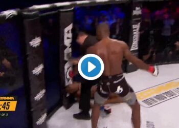 BAMMA 31 MMAnytt