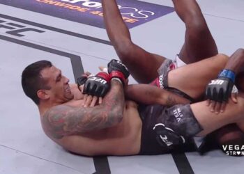 Fabricio Werdum Walt Harris UFC 216 MMAnytt