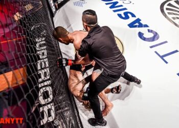 Superior-challenge-Arman-Popal-vs-Linus-Ahlback-12-malmo-baltiska-hallen-mmanytt-mixed-martial-arts-mma-fight-foto-alex-wayne-2015-4