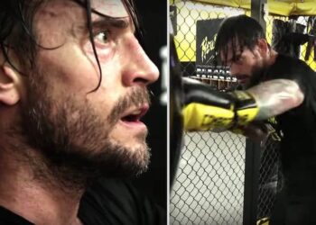 CM Punk UFC WWE MMA Phil Brooks MMAnytt