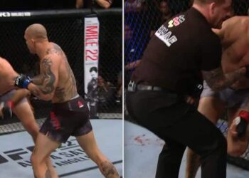 ANTHONY SMITH MAURICIO SHOGUN RUA UFC HAMBURG MMANYTT