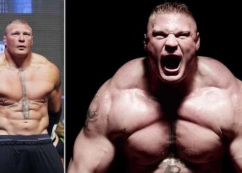 Brock Lesnar UFC MMA MMAnytt