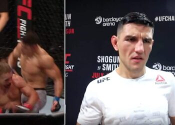 Damir Hadzovic UFC Hamburg MMA MMAnytt Fokus