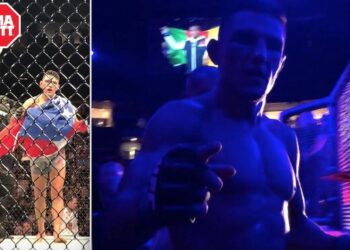 Damir Hadzovic UFC Hamburg Nordic MMA MMAnytt Fokus