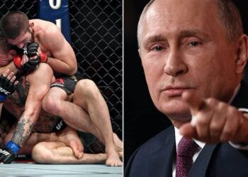 Vladimir Putin Khabib NUrmagomedov Conor McGregor UFC 229
