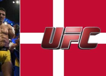 UFC Danmark Damir Hadzovic