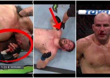 Glover Teixeira Ion Cutelaba