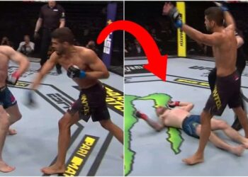 Leonardo Santos Knockout Stevie Ray UFC Stockholm Globen MMAnytt