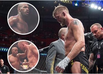 Alexander Gustafsson The Mauler MMAnytt (3)