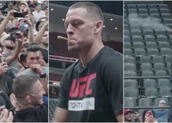 Nate Diaz Joint UFC 241 Embedded Screenshots