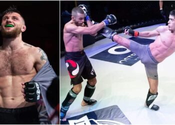 nerike mma series collage 1