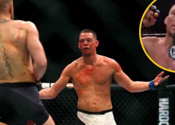 Nate Diaz Conor McGregor Foto USA TODAY Sports _ Screenshot UFC on FOX (1)
