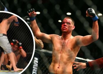 Nate Diaz Foto USA TODAY Sports