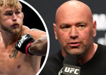 Alexander Gustafsson nytt besked igen