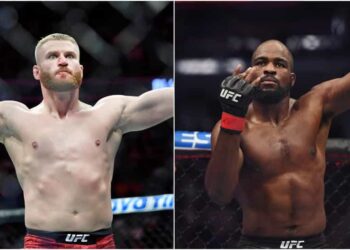 UFC MMA Blachowicz Anderson 2