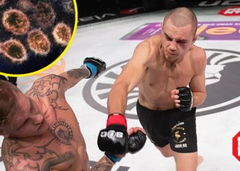 Coronavirus svensk MMA Adam Westlund Foto_ NIAID-RML _ Stefan Romare-MMAnytt