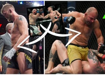 UFC-ranking