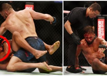 Jeremy Stephens Calvin Kattar Foto USA TODAY Sports (1)