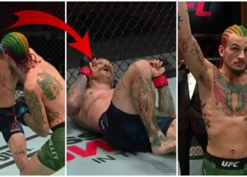 Sean O'Malley UFC 250 MMA