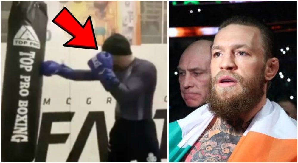 Conor McGregor Video fansen MMA Boxning