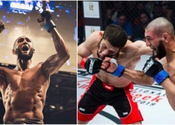Khamzat Chimaev UFC MMA Borz
