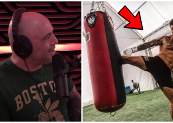 Samuel Ericsson hyllas av Joe Rogan