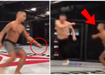 MMA UFC Diego Sanchez Joshua Fabia