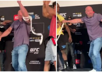UFC 253 Invägning Paulo Costa Israel Adesanya