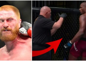 domarmiss ed herman mike rodriguez ufc mma