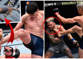 Dana White's Contender Series
