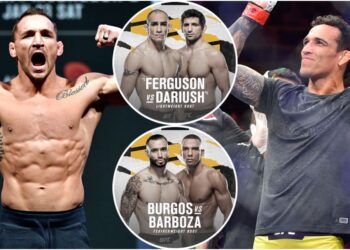 UFC 262