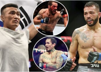 UFC Vegas 29