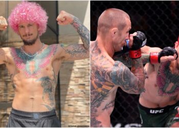 UFC, Sean O'Malley