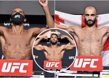 UFC Vegas 35