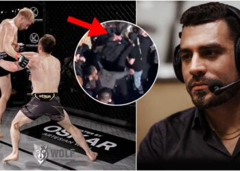 sebastian_wolf_fight_promotion_2