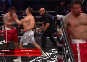 Frank Mir Kubrat Pulev