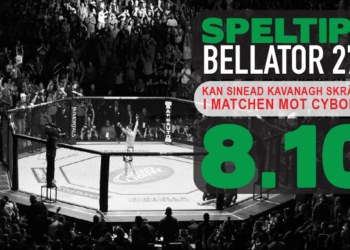 SPELTIPS BELLATOR 271