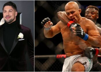 Junior Dos Santos, Brendan Schaub